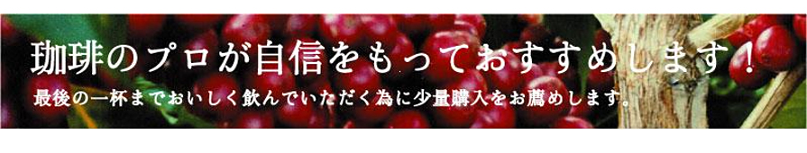 画像の説明