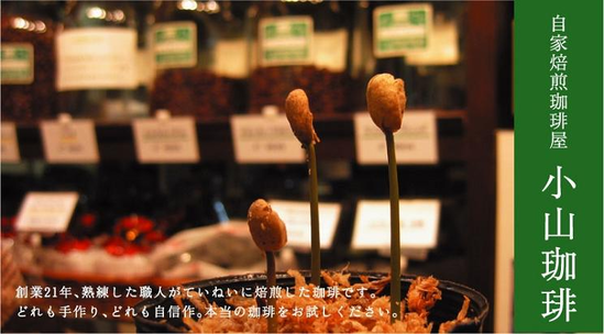 小山珈琲のご案内